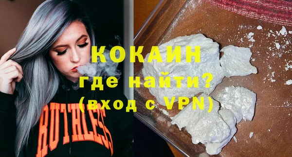 стафф Алексин