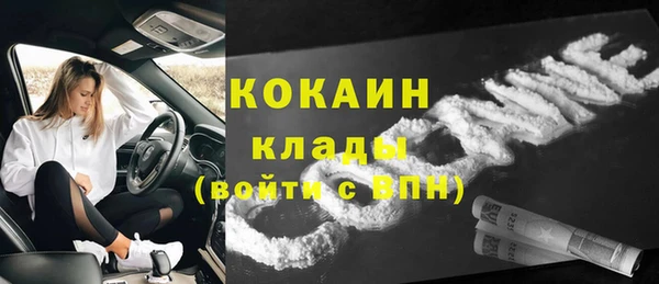 стафф Алексин