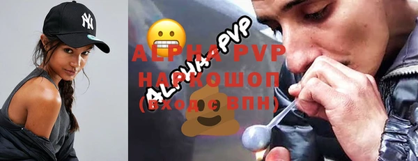 стафф Алексин