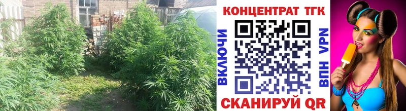 Дистиллят ТГК гашишное масло  Копейск 